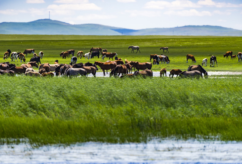 内蒙古——中国西部璀璨明珠的魅力展现