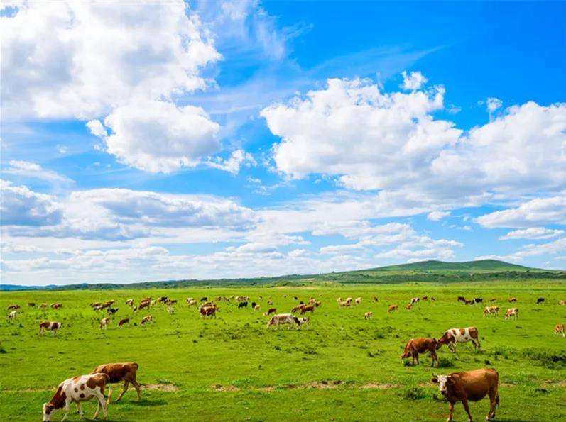 内蒙古——中国西部璀璨明珠的魅力展现